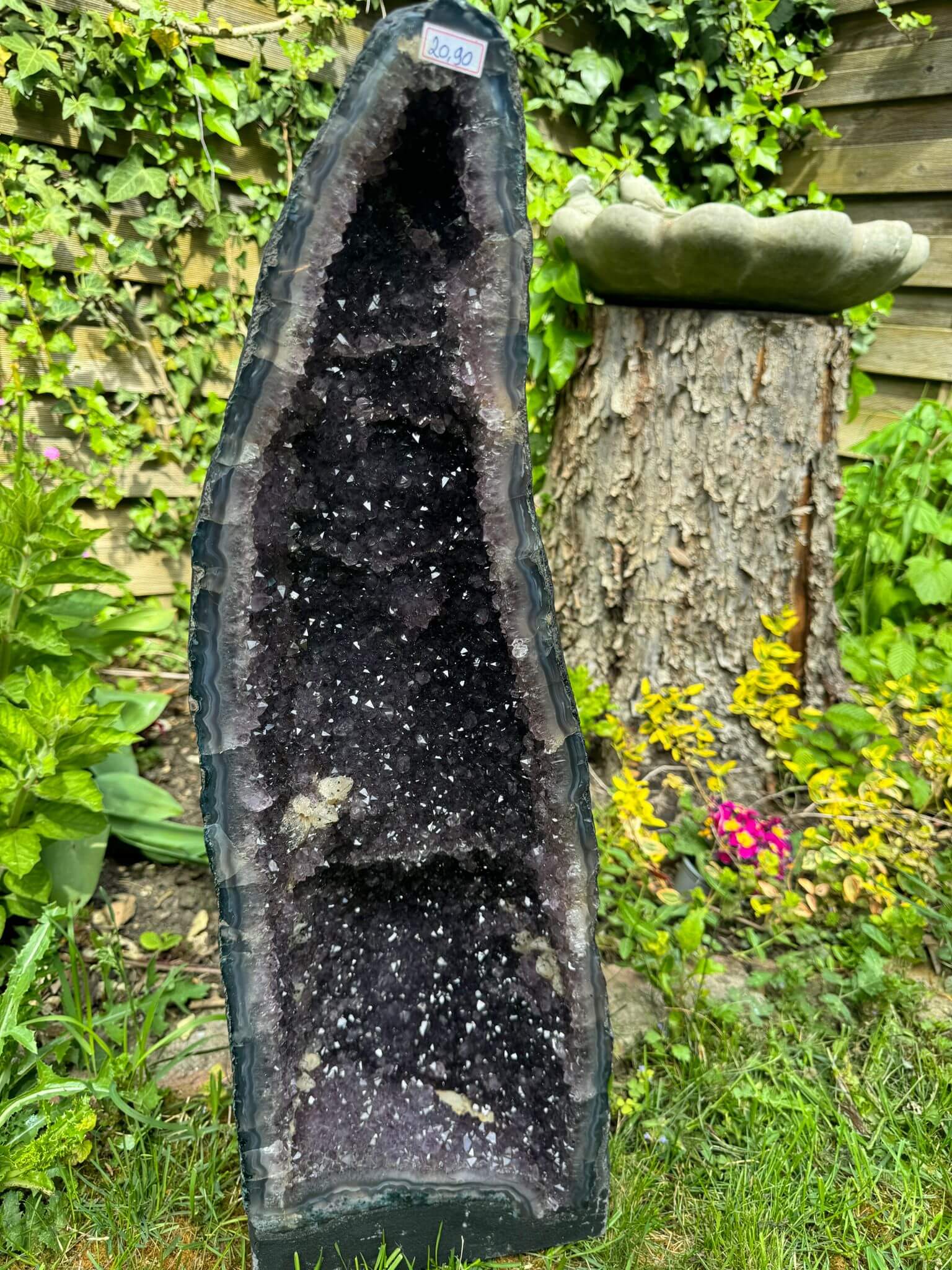 Grosse Amethyst Druse 20 kg Unikat Kristall Raumenergie Spirit Place Winterthur Schweiz